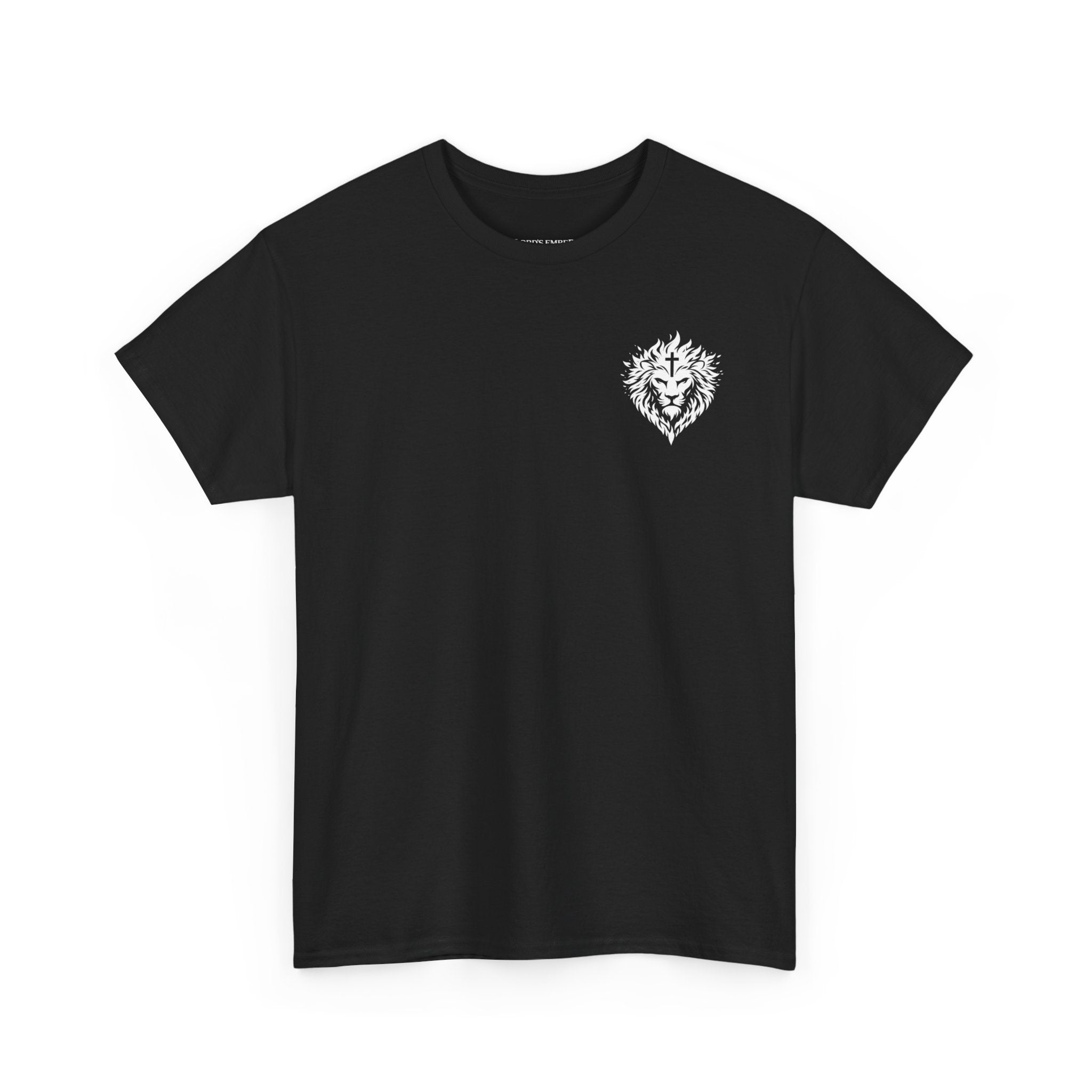 Christ Reveals All Tee